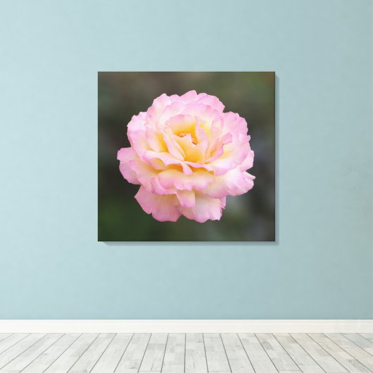 roze roze roos canvas afdruk (Insitu (Houten vloer))