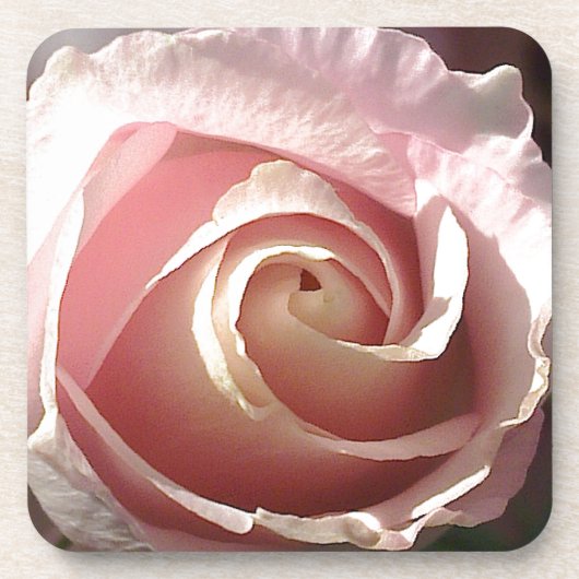 roze roze roos drankjes onderzetter (Voorkant)