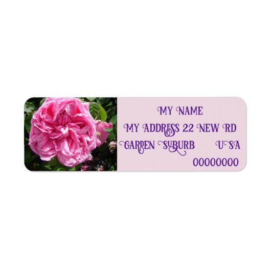  roze roze Roos foto Retouradres labels (Voorkant)