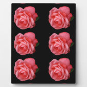 Roze roze roos fotoplaat (Voorkant)