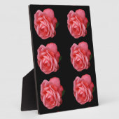 Roze roze roos fotoplaat (Zijkant)