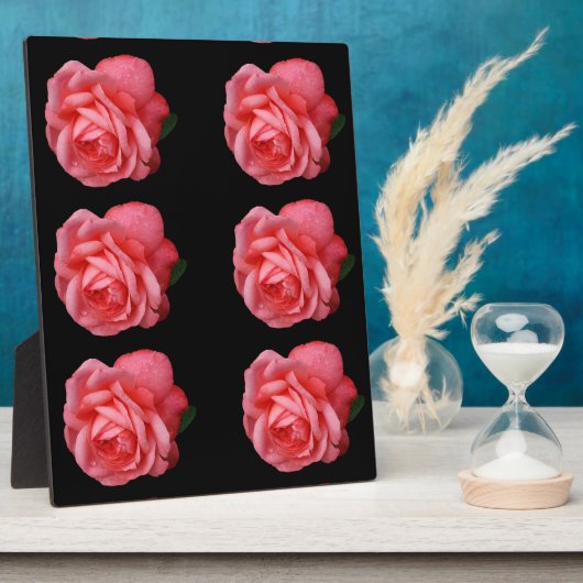 Roze roze roos fotoplaat (Zijkant)