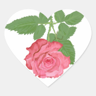 Roze roze roos hart sticker