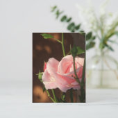 roze roze roos in de namiddag briefkaart (Staand voorkant)