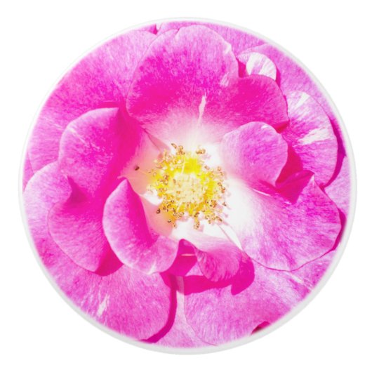 Roze roze roos keramische knop (Voorkant)