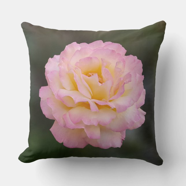 roze roze roos kussen (Voorkant)