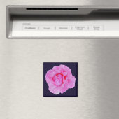 roze roze roos magneet (Insitu (Vaatwasser))