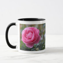 roze roze roos