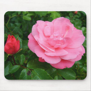 roze roze roos muismat