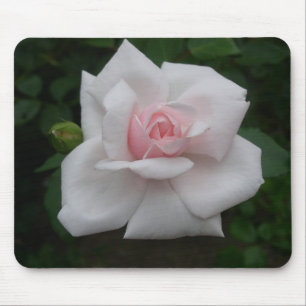 Roze roze roos muismat