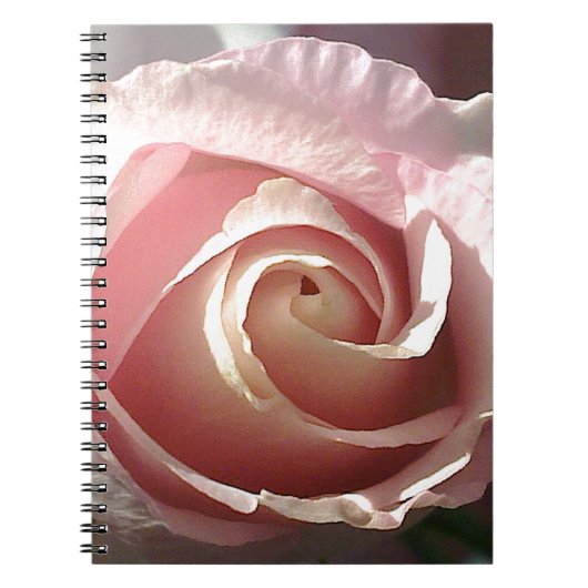  roze roze roos notitieboek (Voorkant)