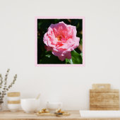 roze roze roos poster (Keuken)