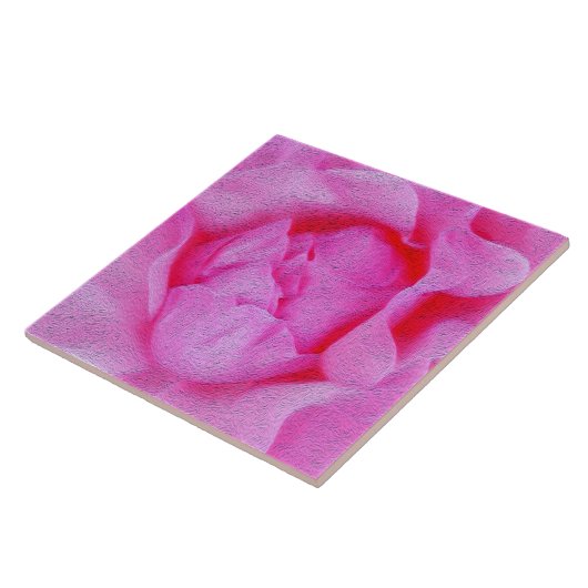 roze roze roos tegeltje (Zijkant)