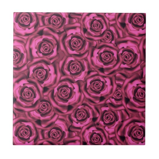 Roze roze roos tegeltje (Voorkant)