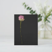 Roze roze roze 3 briefkaart (Staand voorkant)