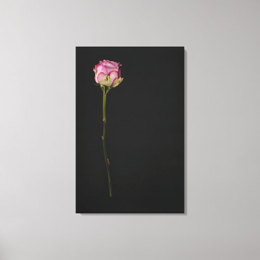 Roze roze roze 3 canvas afdruk (Voorkant)