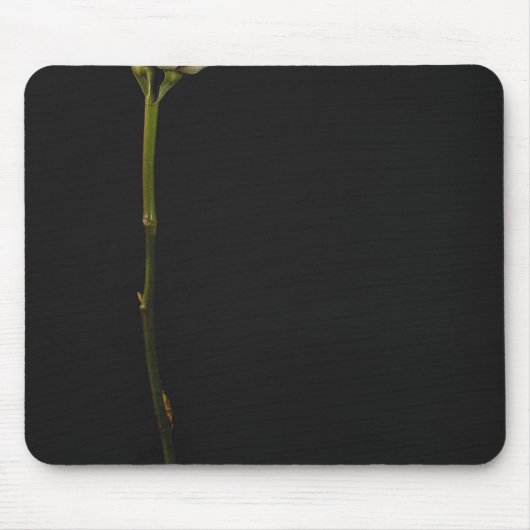 Roze roze roze 3 muismat (Voorkant)