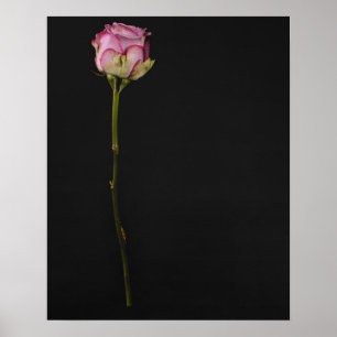 Roze roze roze 3 poster