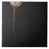 Roze roze roze 3 tegeltje (Voorkant)