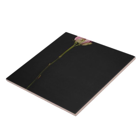 Roze roze roze 3 tegeltje (Zijkant)