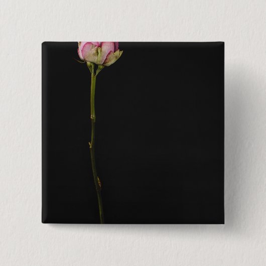 Roze roze roze 3 vierkante button 5,1 cm (Voorkant)