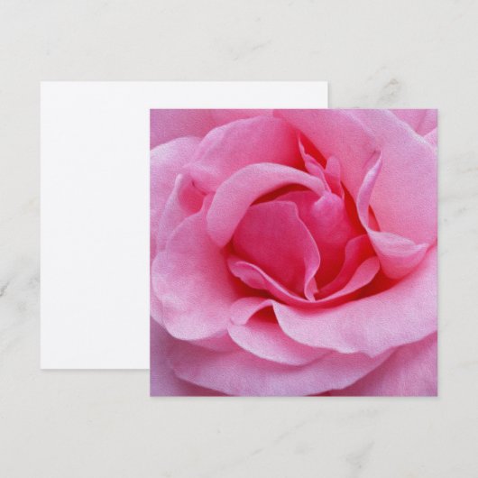 Roze roze roze bladen kaart (Voorkant / Achterkant)