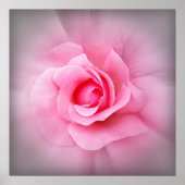 Roze roze roze bladen poster (Voorkant)