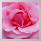 Roze roze roze bladen poster (Voorkant)