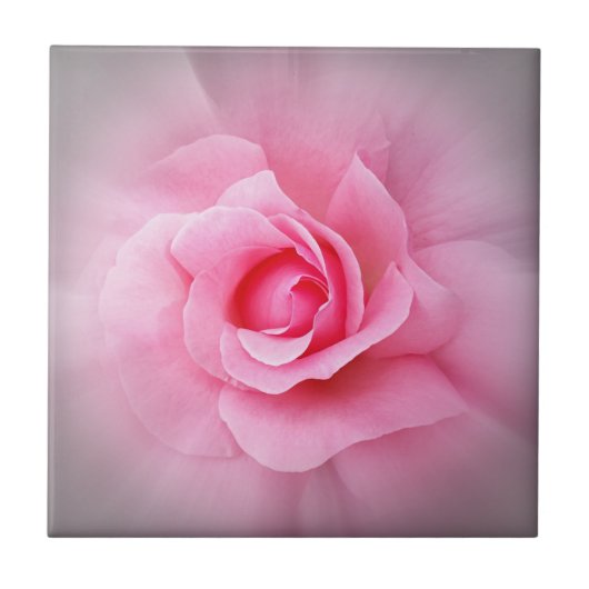 Roze roze roze bladen tegeltje (Voorkant)