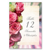 Roze roze roze bruinroodbruttafel kaart (Achterkant)