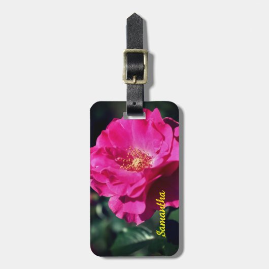 Roze roze roze in volledig bloem Sluiten Aangepast Bagagelabel (Voorkant verticaal)