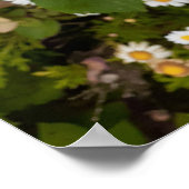 Roze roze roze Poster van de bloem (Hoek)