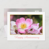  roze roze roze roodbloem briefkaart (Voorkant / Achterkant)