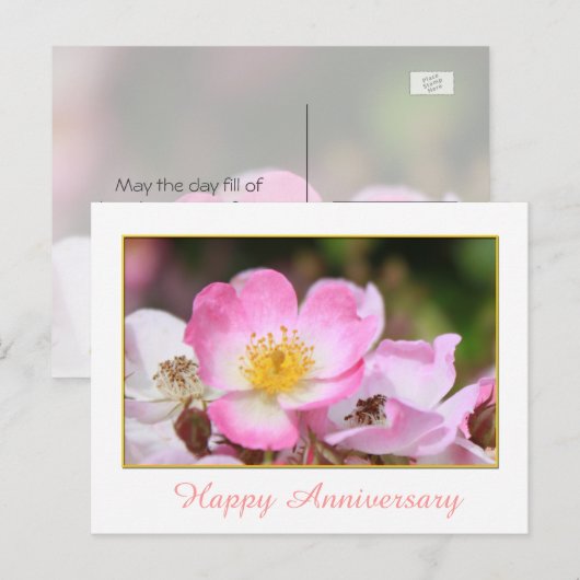  roze roze roze roodbloem briefkaart (Voorkant / Achterkant)