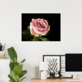 roze roze roze roos poster (Thuiskantoor)