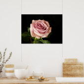 roze roze roze roos poster (Keuken)