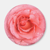 Roze roze roze roze rooddruppels magneet (Voorkant)