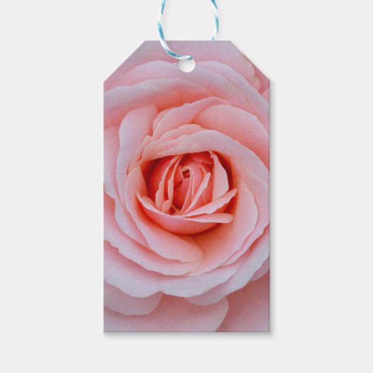 Roze roze roze roze roos cadeaulabel (Voorkant)