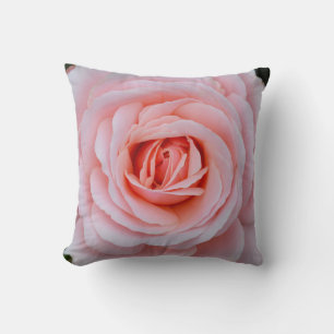 Roze roze roze roze roos kussen