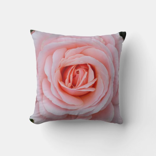 Roze roze roze roze roos kussen (Voorkant)