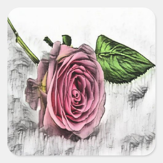 Roze roze roze schets vierkante sticker (Voorkant)