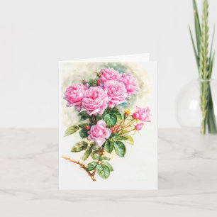 roze roze roze schilderingen teruggezet blanco kaart
