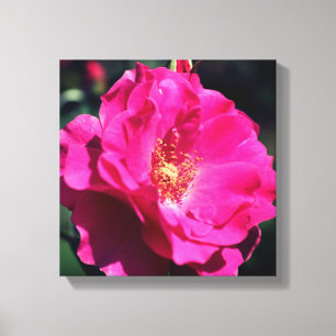 Roze roze roze volledig dicht canvas afdruk