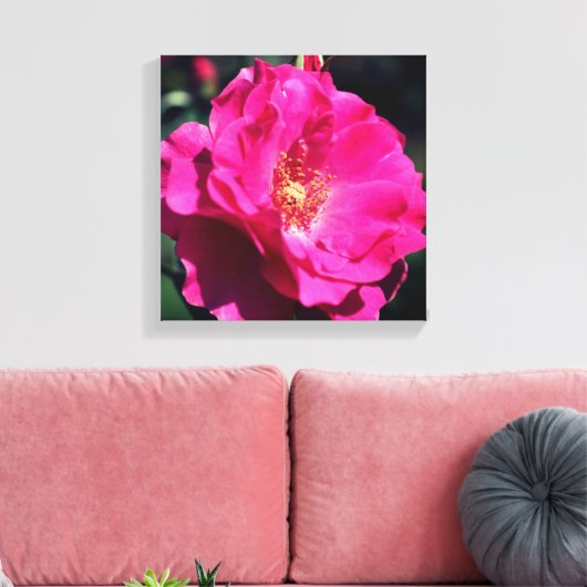 Roze roze roze volledig dicht canvas afdruk (Insitu (Woonkamer))