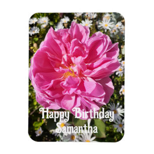 Roze Roze Rozen Bloembloemen Bloemen Verjaardag Magneet