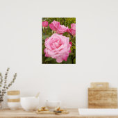 Roze Roze Rozen Bloemen Tuin Poster (Keuken)