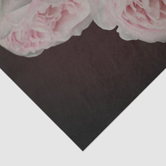 Roze roze rozen roze los tissuepapier (Detail)