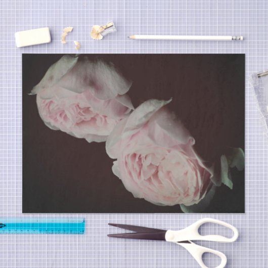 Roze roze rozen roze los tissuepapier (Craft)