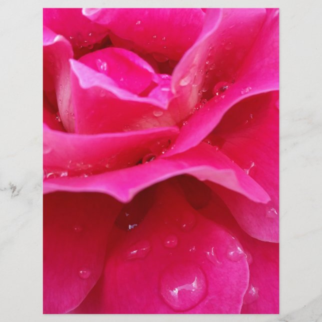 roze roze rozenbladen (Voorkant)