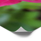 roze roze rozenbladen poster (Hoek)